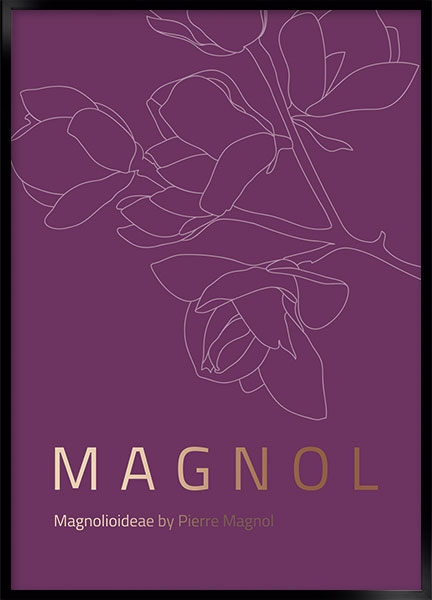 Plakat - Magnol