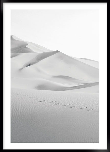 Plakat - Desert walk