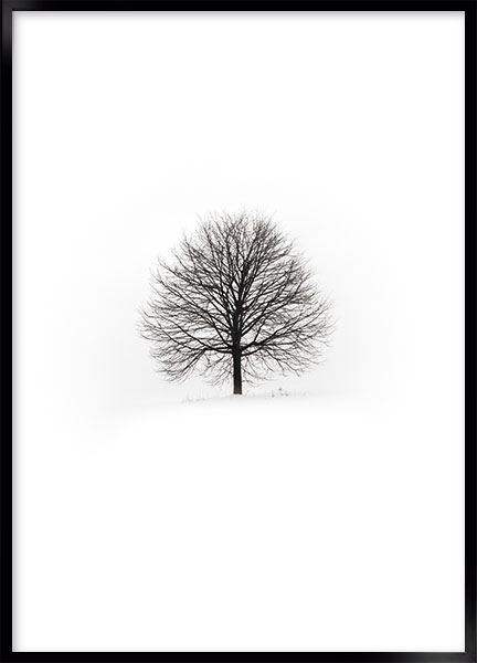 Plakat - Lonely tree