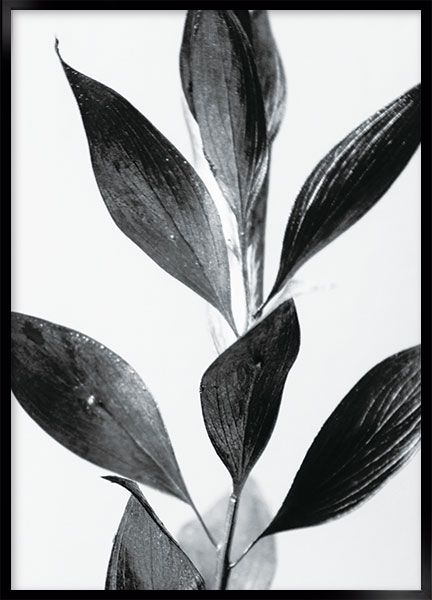 Plakat - Plant no1