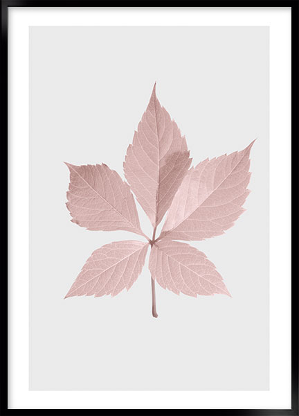 Plakat - Pink efterår