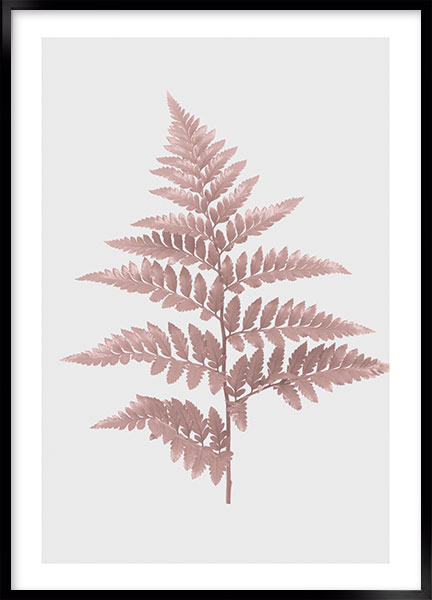 Plakat - Pink bregne