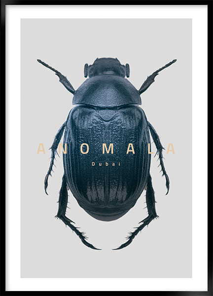 Plakat - Bug Anomala