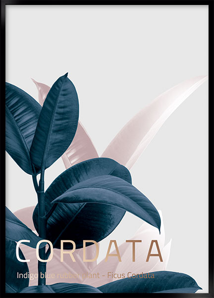 Plakat - Elastica no2