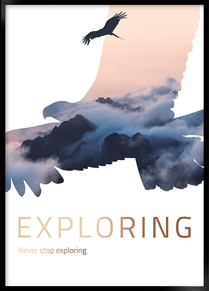 Plakat - Exploring