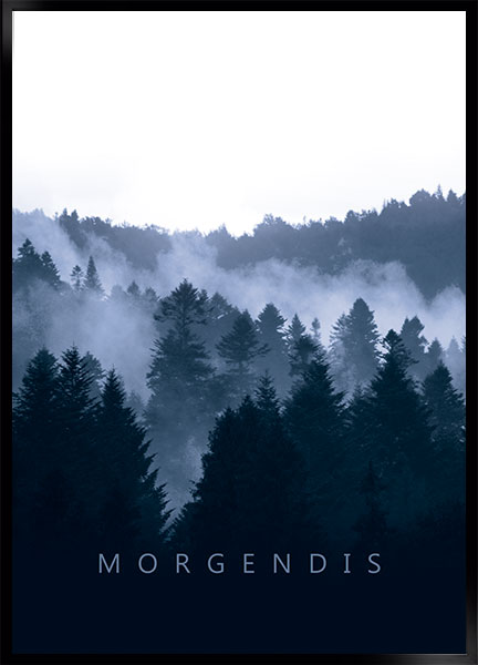 Plakat - Morgendis