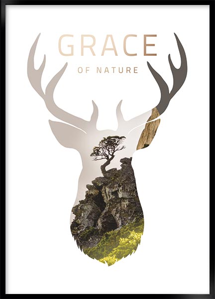 Plakat - Grace