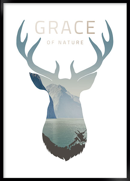 Plakat - Grace