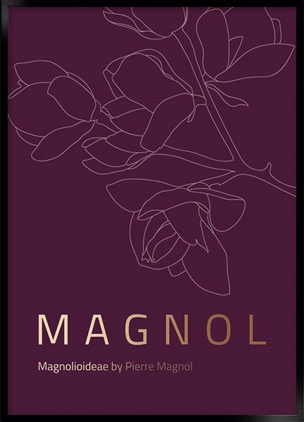 Plakat - Magnol
