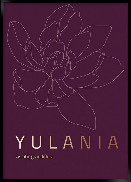 Plakat - Yulania