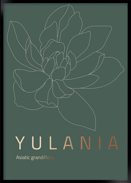 Plakat - Yulania