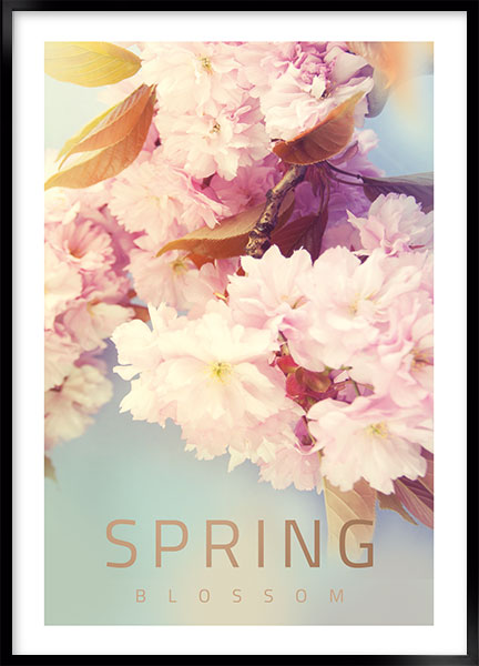 Plakat - Spring blossom