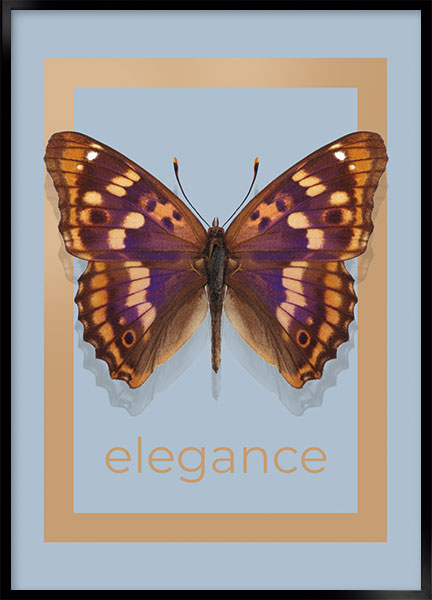 Plakat - Elegance