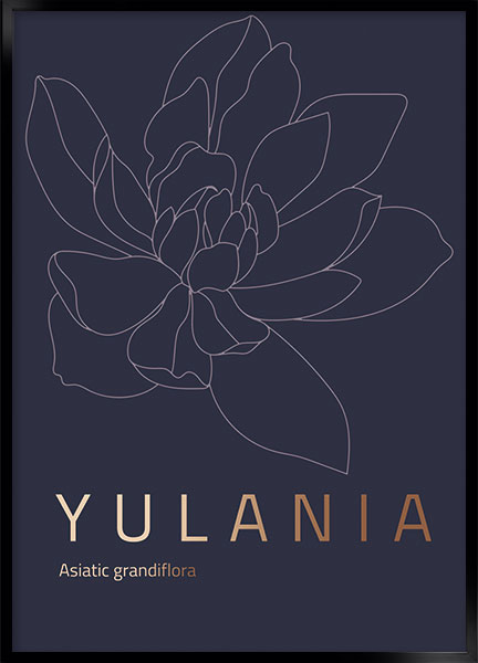 Plakat - Yulania